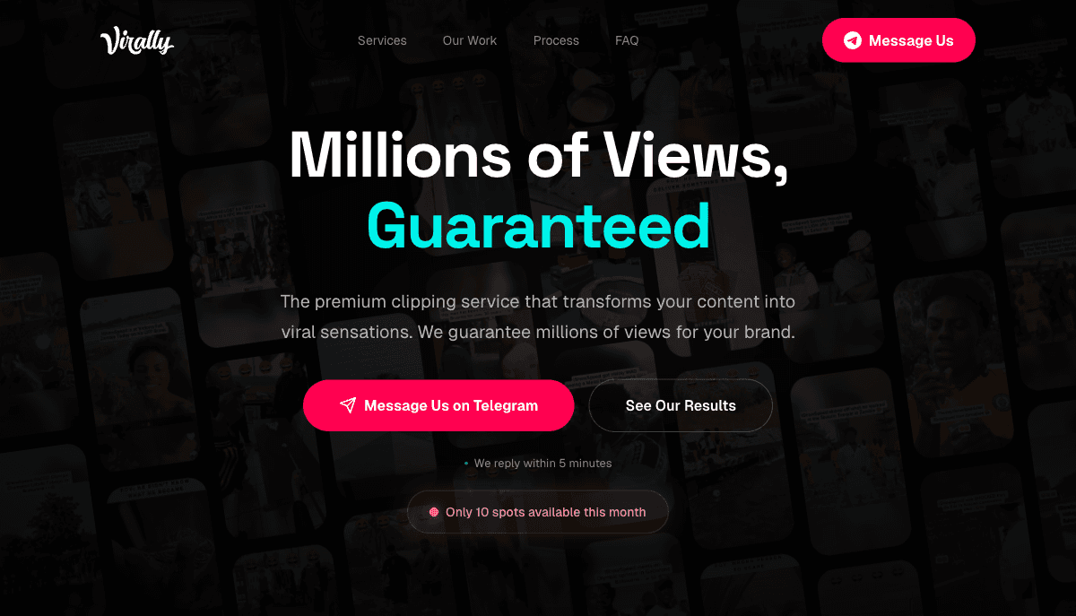 Virally website preview
